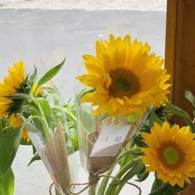 幸运彩票app下载苹果